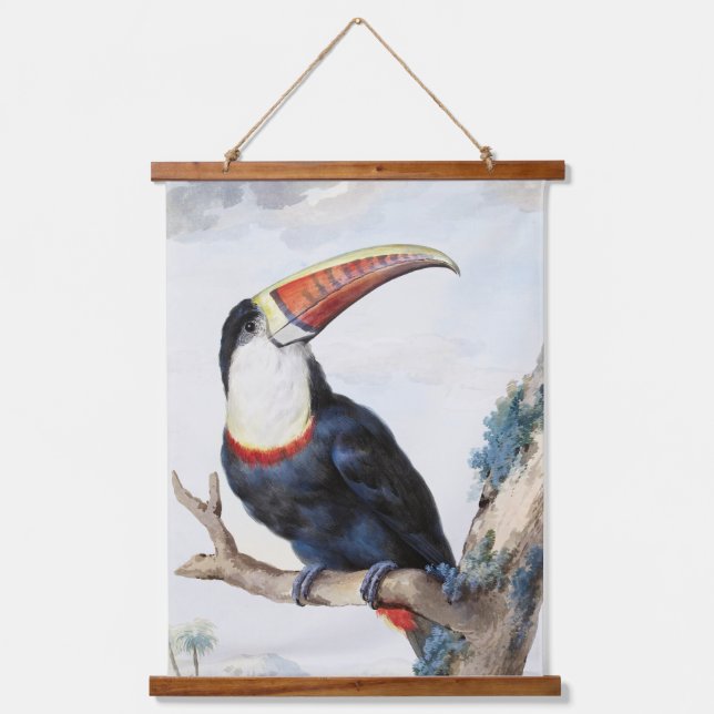 Tapisserie Suspendue Toucan à bec rouge (1748) par Aert Schouman (Recto)