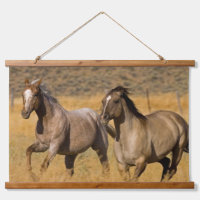 Vie de ranch au Ponderosa Ranch