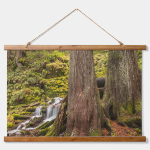 Tapisserie Suspendue White Branch Falls, Oregon Cascades, Oregon