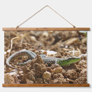 Tapisserie Suspendue Wild Lizard Nature Photographie Rustique