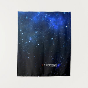 Tapisserie TERRENE