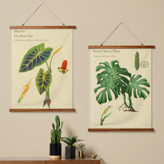 Tapisseries botaniques - Monstera