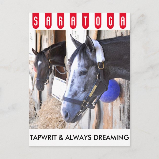 Tapwrit & Always Dreaming Postkarte (Vorderseite)