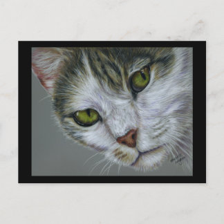 Tara - Cat Art Postkarte
