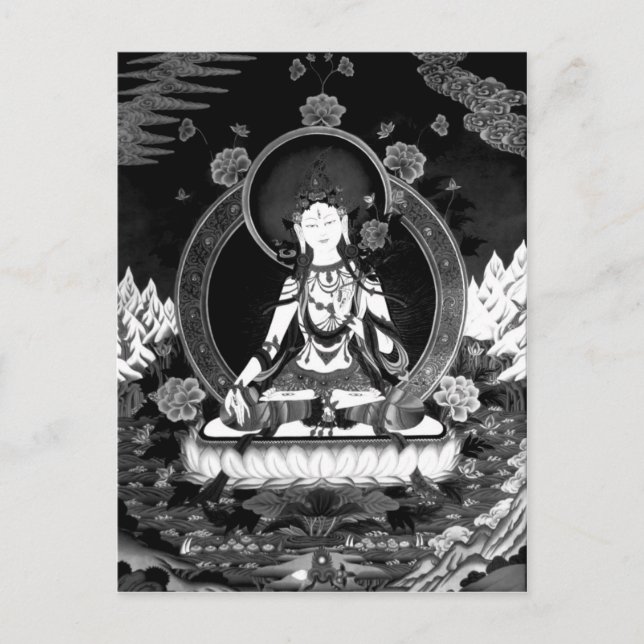 Tara Postcard b/w Postkarte (Vorderseite)
