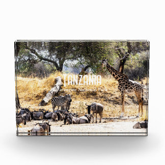 Tarangire National Park Fotoblock