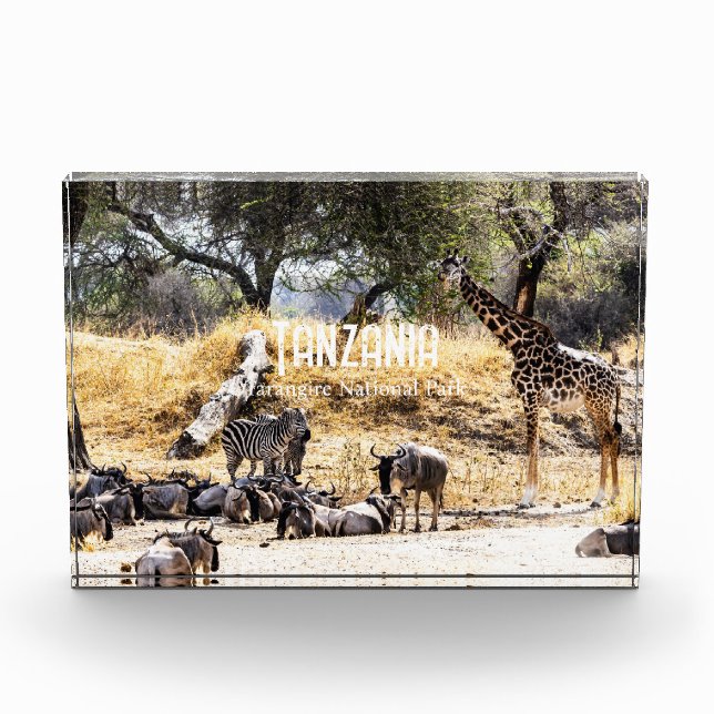 Tarangire-Nationalpark Fotoblock (Vorderseite)