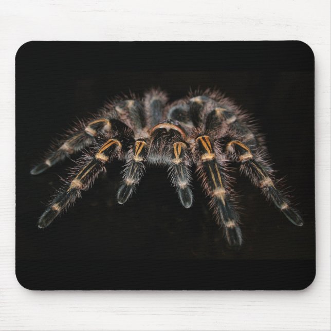 Tarantel Mousepad (Vorne)