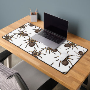 Tarantula auf weiß schreibtischunterlage