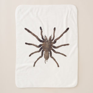 Tarantula Blanket Sherpadecke