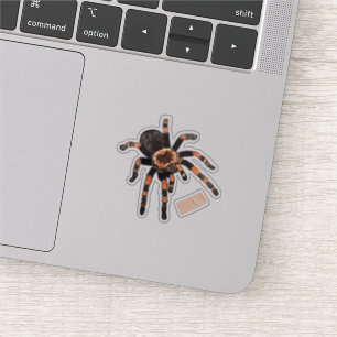 Tarantula-Cartoon Aufkleber