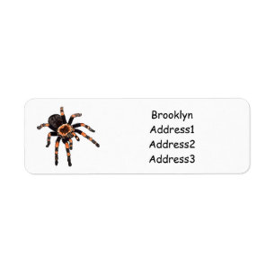 Tarantula cartoon illustration