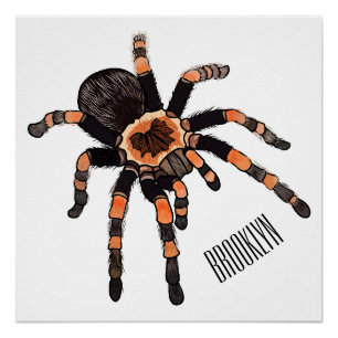 Tarantula-Cartoon Poster