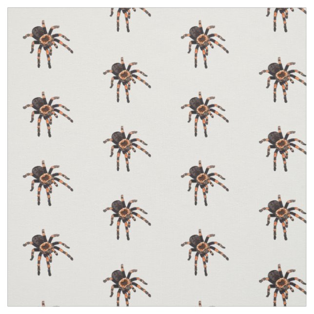 Tarantula-Cartoon Stoff (Muster)