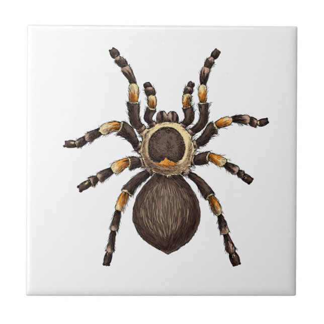 Tarantula Fliese (Vorderseite)