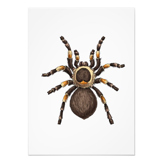 Tarantula Fotodruck (Vorne)