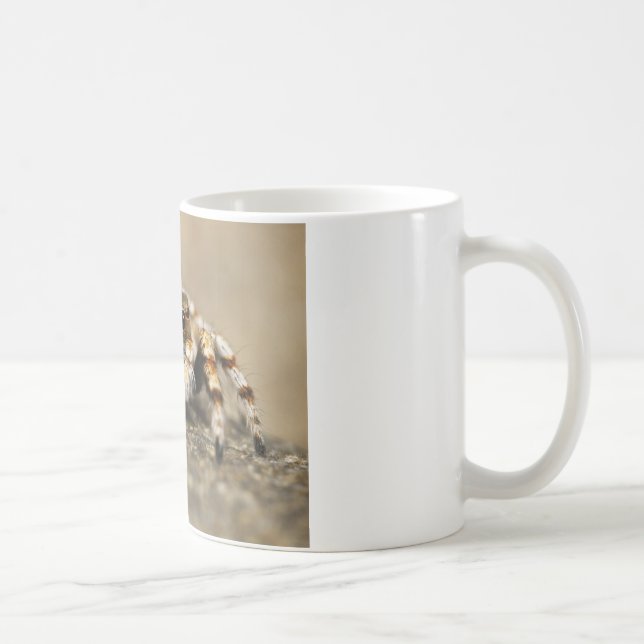 Tarantula Jumping Bird Spider phantastische Zubehö Kaffeetasse (Rechts)