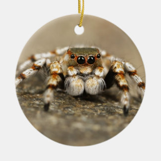 Tarantula Jumping Bird Spider phantastische Zubehö Keramik Ornament