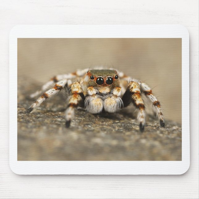 Tarantula Jumping Bird Spider phantastische Zubehö Mousepad (Vorne)