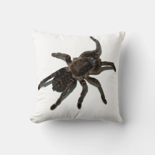 Tarantula Kissen