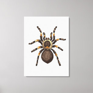 Tarantula Leinwanddruck
