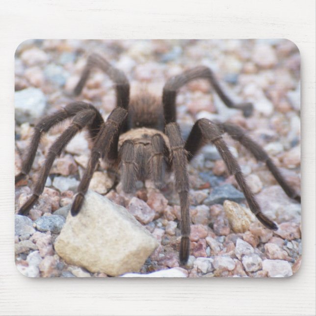 Tarantula Mousepad (Vorne)