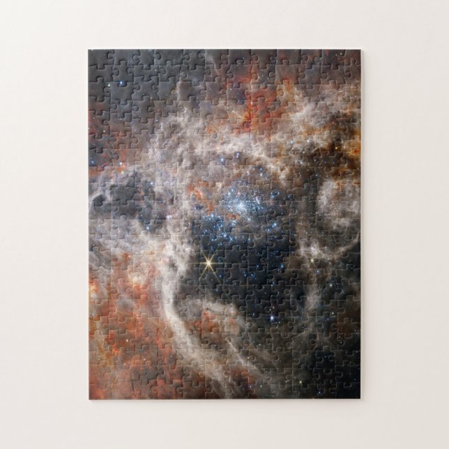Tarantula Nebula Bild von JWST (Vertikal)