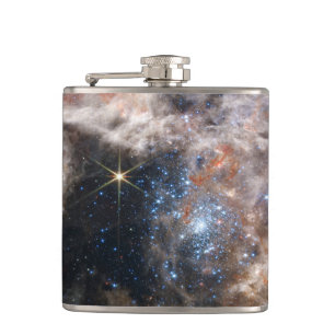 Tarantula Nebula Bild von JWST Flachmann