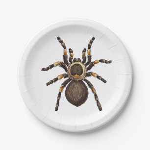 Tarantula Pappteller