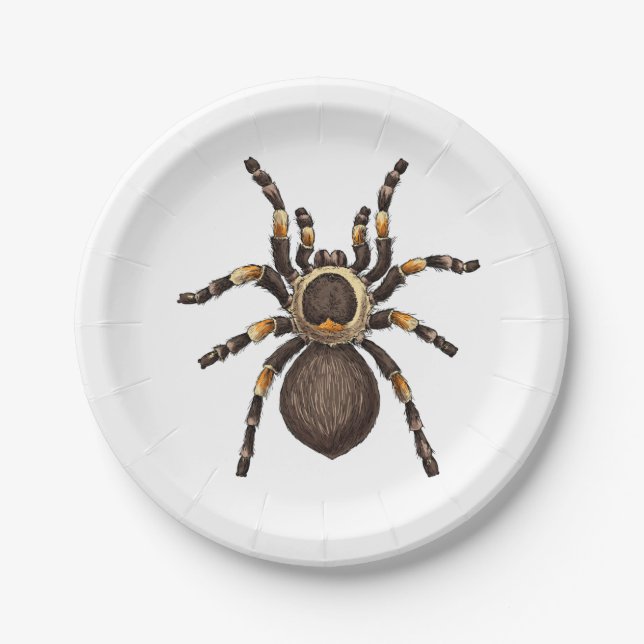 Tarantula Pappteller (Vorderseite)