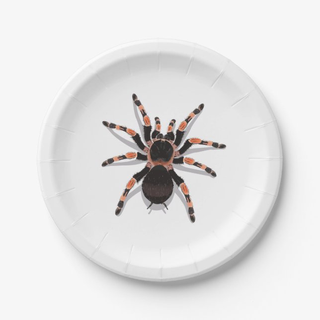 Tarantula Pappteller (Vorderseite)
