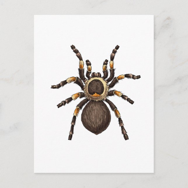 Tarantula Postkarte (Vorderseite)