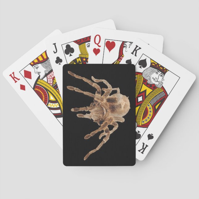 Tarantula-schlichte Spielkarten (Rückseite)