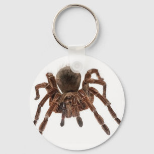 TARANTULA SCHLÜSSELANHÄNGER