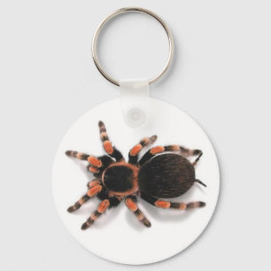 TARANTULA SPIDER SCHLÜSSELANHÄNGER KEYRING