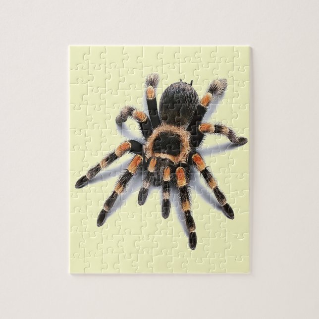 TARANTULA-SPINNE (Vertikal)