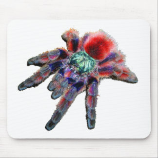 Tarantula-Spinne, arachnid, große blau-rote Spinne Mousepad