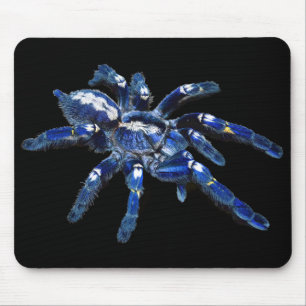 Tarantula-Spinne, arachnid, große blaue Spinne/sc Mousepad