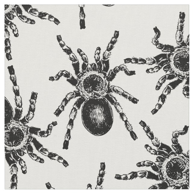 Tarantula Stoff (Nahaufnahme)