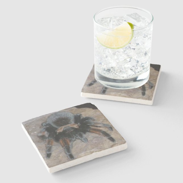 Tarantula Stone Untersetzer (Seitenansicht)