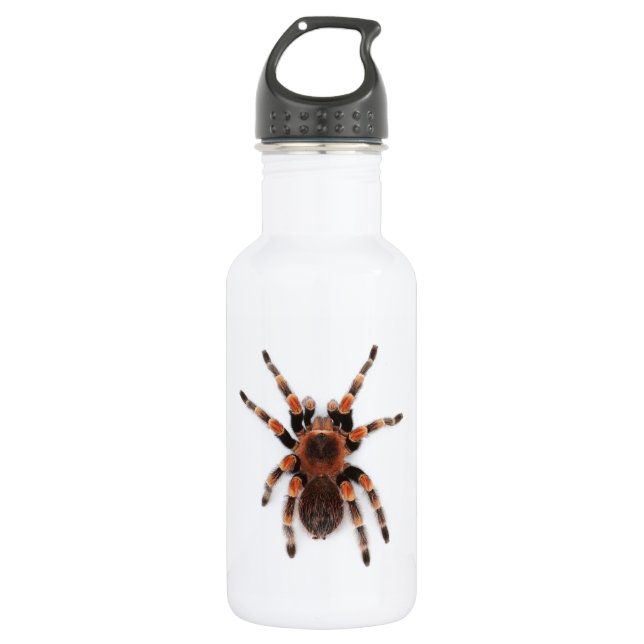 Tarantula Trinkflasche (Vorderseite)