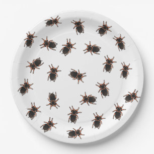 Tarantulas anpassen pappteller