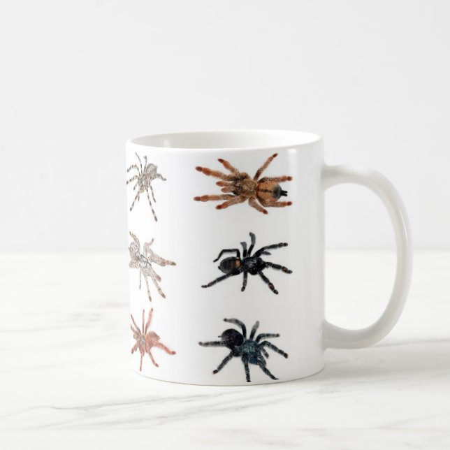 Tarantulas Kaffeetasse (Rechts)