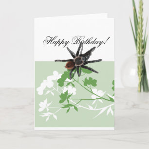 Tarantulaspinne auf karte