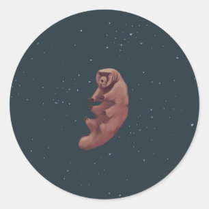 Tardigrade im Raum Runder Aufkleber