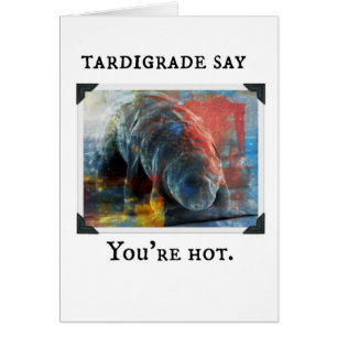 Tardigrade sagen Sie - Sie sind heiß