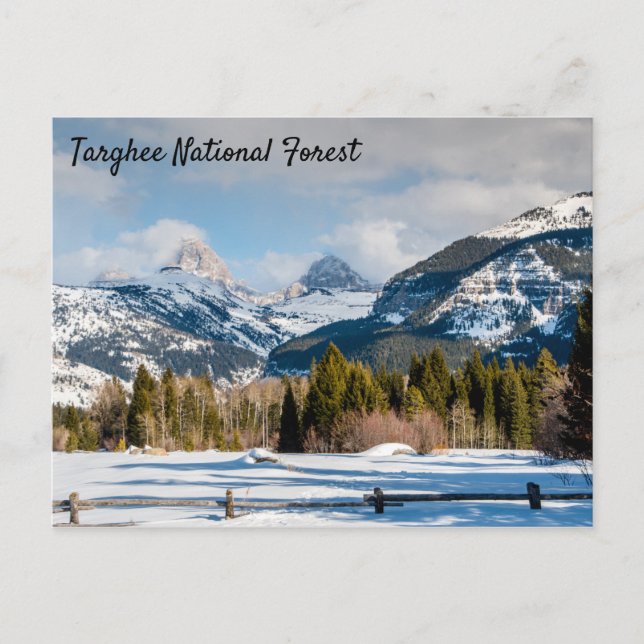 Targhee National Forest Teton Ansicht Postkarte (Vorderseite)