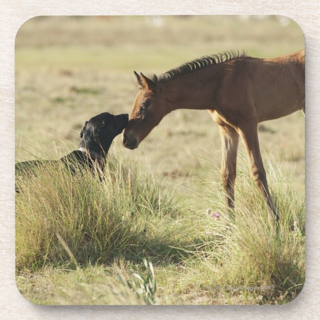 Tarifa, Cadiz, Andalusien, Spanien 2 Getränkeuntersetzer (Vorderseite)