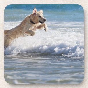 Tarifa, Cadiz, Andalusien, Spanien 2 Getränkeuntersetzer