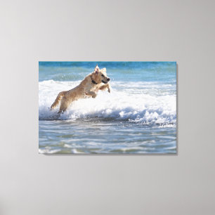 Tarifa, Cadiz, Andalusien, Spanien 2 Leinwanddruck